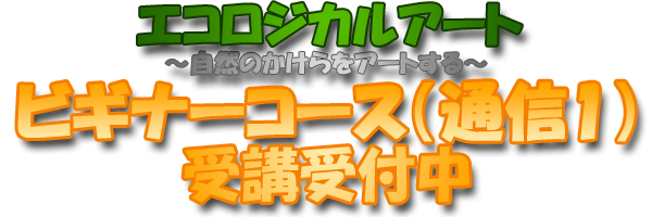 エコロジカルアート ～自然のかけらをアートする～ ビギナーコース（通信1）