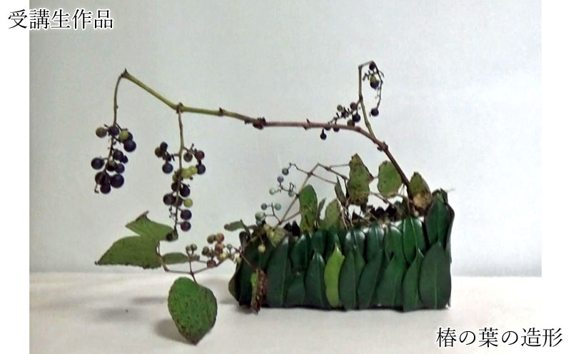 椿の葉の造形 (4)