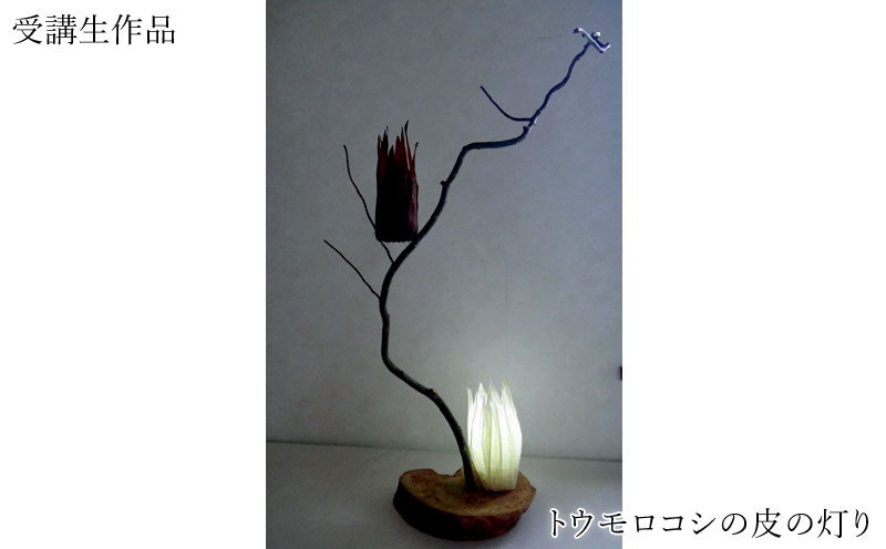 トウモロコシの葉の灯り (2)