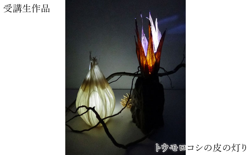 トウモロコシの葉の灯り (3)
