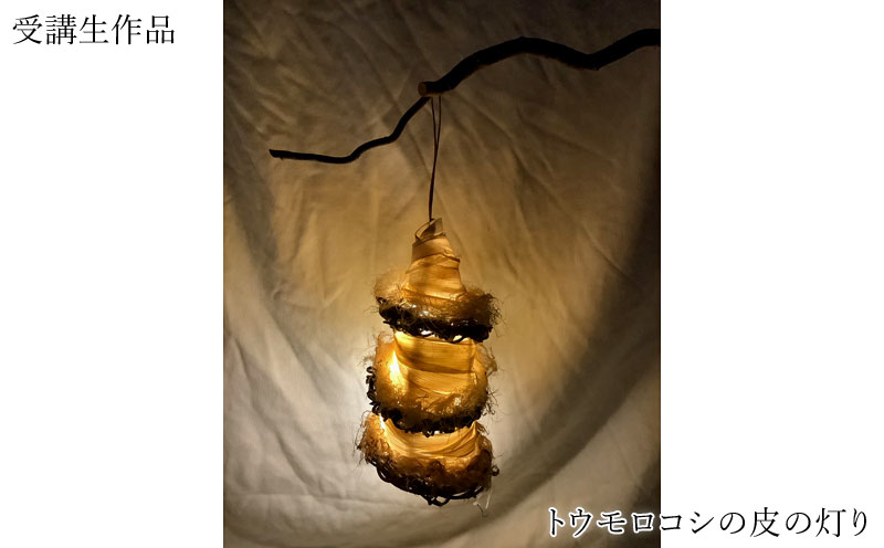 トウモロコシの葉の灯り (6)